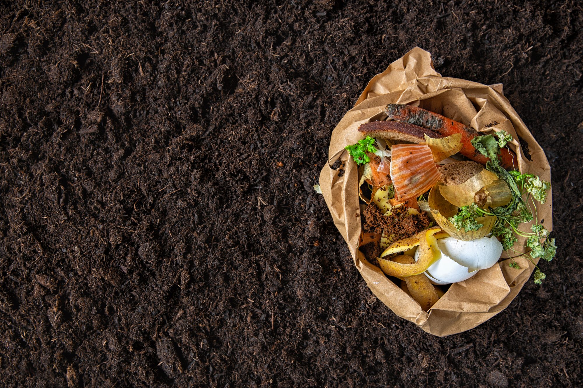 Turning Passion into Sustainable Agribusiness