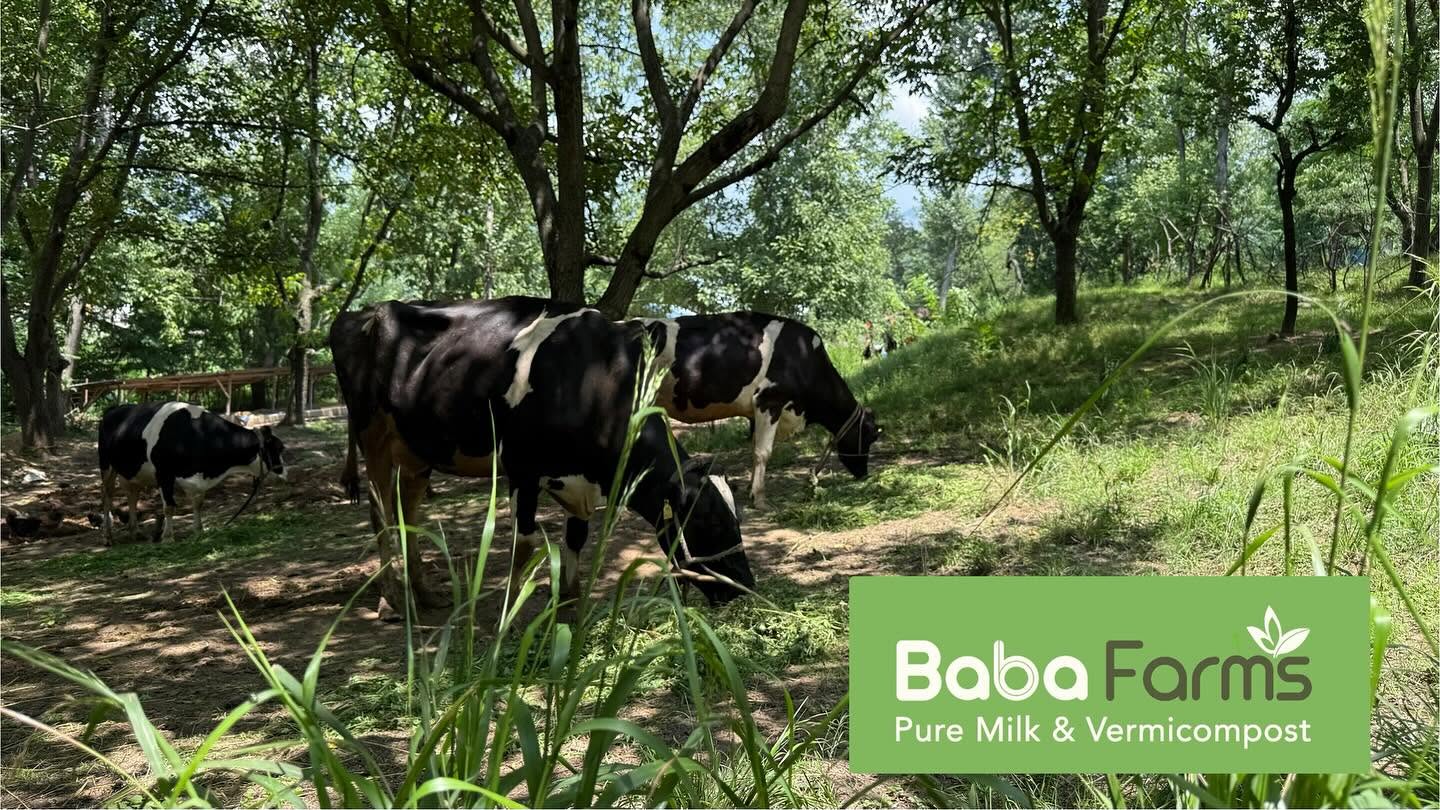 A Journey Towards Self-Reliant and Sustainable Farming